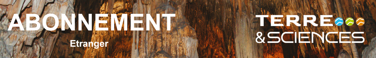 abonnement-etranger-bibliotheque